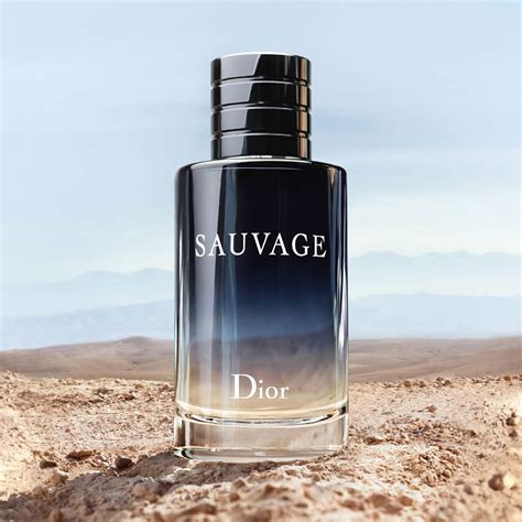 2017savage dior|Dior Sauvage types.